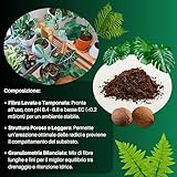 GebEarth B0B883LVK1 lato 4