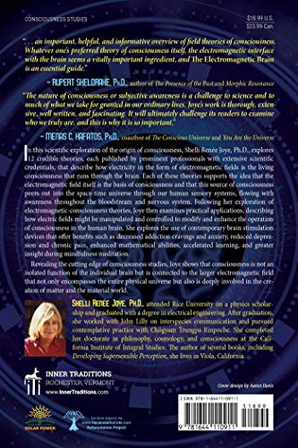 The Electromagnetic Brain: Em Field Theories On The Nature Of Consciousness #TOP1