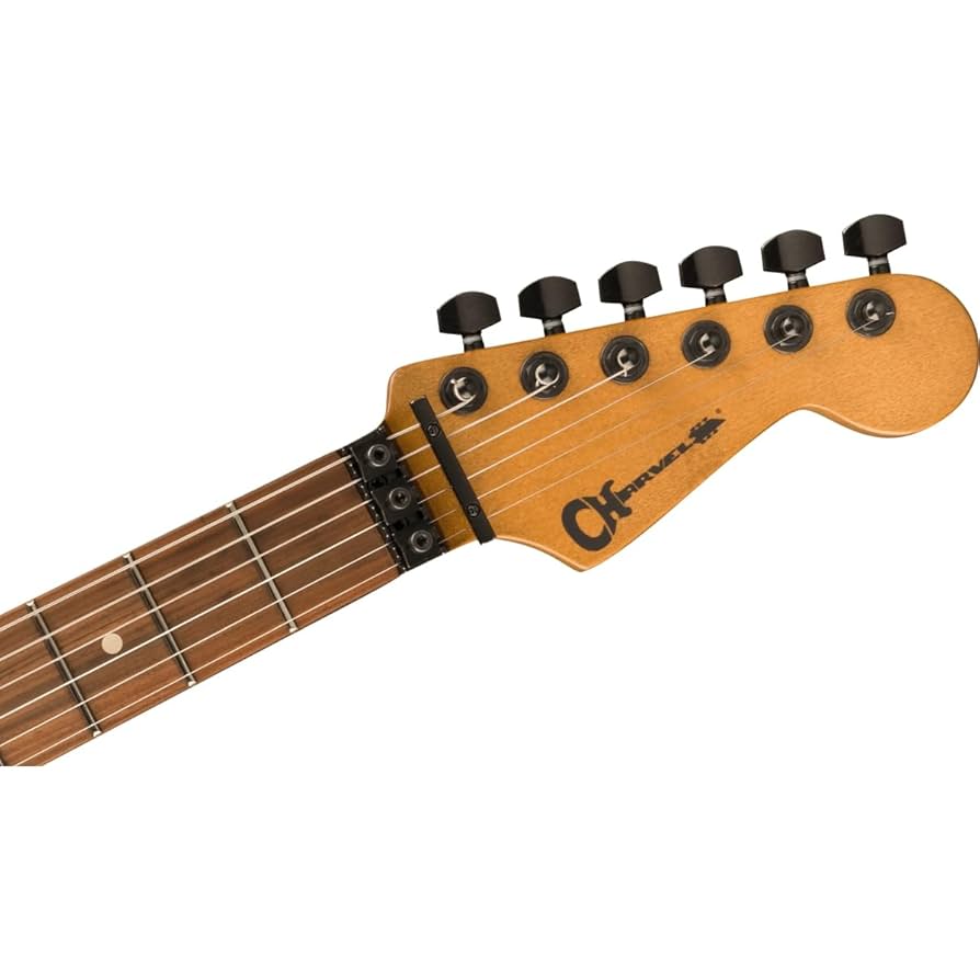 Amazon.com: Charvel Pro-Mod Relic San Dimas Style 1 HH FR PF