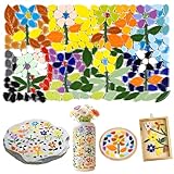 LOTOFUN Mosaic Tiles for Stepping Stones: 610g Vibrant Mosaic Tiles for Crafts Bulk with Petals Centers Leaves Stem Decorative Ceramic Flowers Mosaic Supplies for DIY Garden Decor- Crafts for Adults