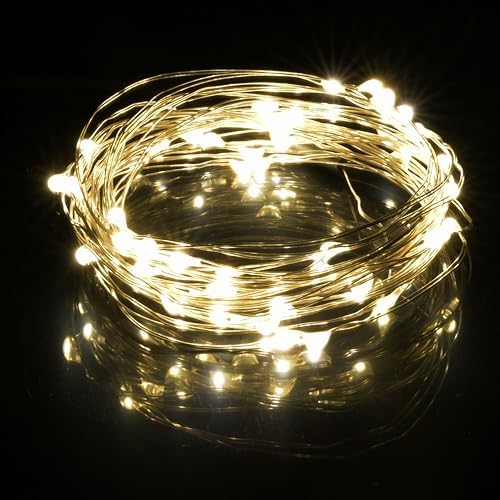 Amazon.com: KARSUM USB Powered String Lights,LED Silver Wire Micro ...