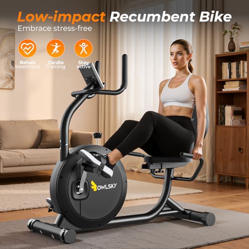 Image of OWLSKY Recumbent Exercise Bike for Home Gym, Magnetic Stationary Bike with 16-Level Resistance, Quiet 15LBS Flywheel, 300LBS Capacity, Low-Impact Cardio & Physical Therapy