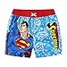 WARNER BROS Superman Boys UPF 50+ Rash Guard and Swim Trunks Shorts Swimwear Set Swimsuit for Toddler and Big Kids Blue