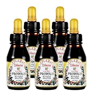 Maintain healthy glucose level & cardiovascular health, 5-Bottle Value Pack – Apiario Silvestre Brazilian Green Propolis Liquid Glycolic Extra – Non Alcoholic, Wax Free, No Sugar (PG)