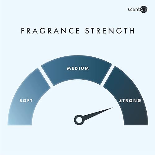 Miniatura 7 de Cartucho de fragancia mensual para Whisper Home - Golden Bamboo