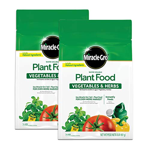Top 10 Best Plant Food For Tomatoes Reviews & Buying Guide Katynel