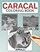 Produktbild Caracal Dots Lines Spirals Coloring Book: Fabulous Coloring Pages With Spiroglyphics Art For All Ages With Unique, Easy And Relaxing Design | Great Gift For Special Occasions