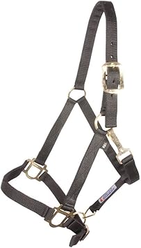 Schneiders Dura-Tech 1" Economy Nylon Halter for Horses | Double-Ply Webbing | Adjustable Fit with Throat Snap | Brass-Plated Hardware | Everyday Barn Use
