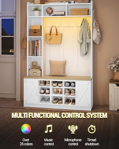 Meuble Entrée 6-en-1 LED RGB + Banc Chaussures Hzuaneri