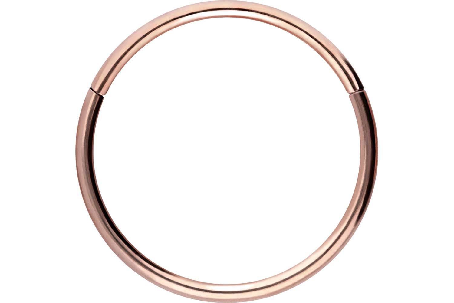 PIERCINGLINE Anillo segmento Clicker de acero quirúrgico – Piercing en oro, plata, rosa, negro o azul – para nariz, tabique, oreja, hélice o tragus — view 23