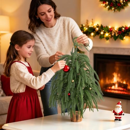 2FT Norfolk Pine Tree with Pot Small Tabletop Christmas Tree Decor - Image 3