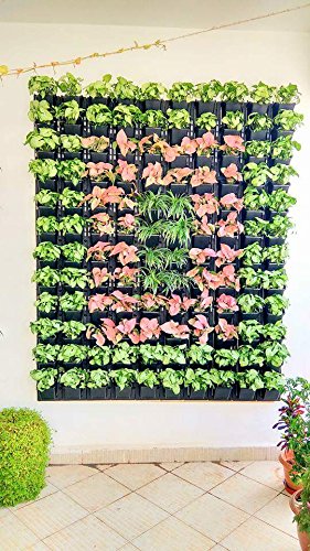 Image of Garden Vertical Hook Pot, 10 Pcs, Black Colour
