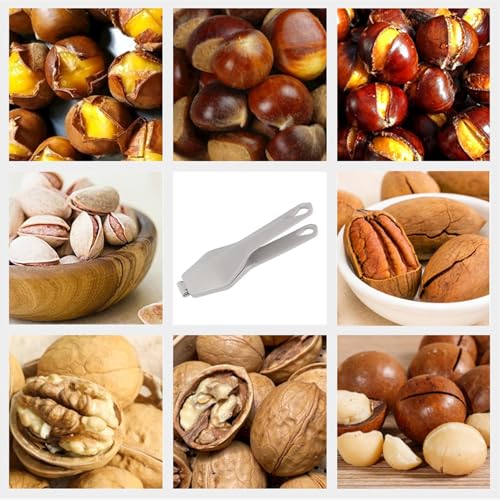 �I������ �ȒP�֗��ȉƒ�p�I�ނ��c�[�� ���S�݌v,�ȒP�N���b�v���J�b�^�[�E�s�[���[ - �g�їp���@�\�I�N���b�v - �ƒ�p�L�b�`�������p �N���~ �s�[�J�� �A�[�����h �J�k�p