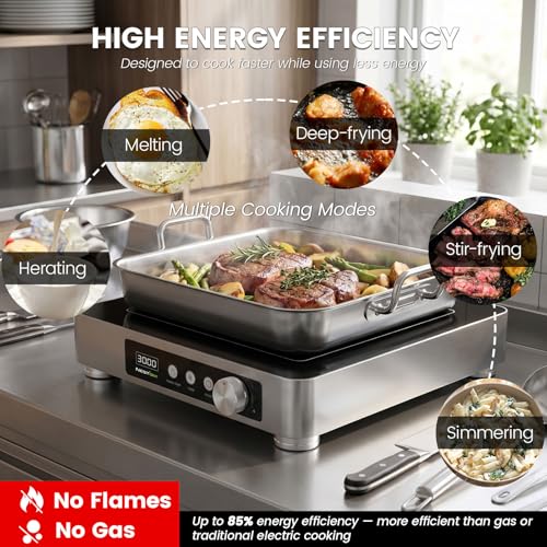 Image of 3000W Commercial Induction Burner, 220V Restaurant Cooktop