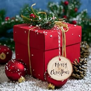 100 PCS 24 28 Inch Unfinished Wood Slices Natural Wood Slices Predrilled with Hole Wood Slice for DIY Arts Craft Christmas Ornaments