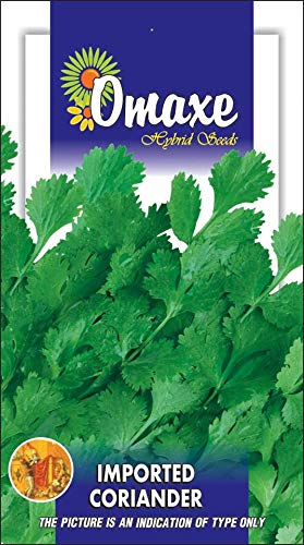 Omaxe Seeds Coriander Imported Green-Dhaniya Seeds Vegetable seeds Kitchen Garden Packet (B07MJLCQKH) Amazon Price History, Amazon Price Tracker