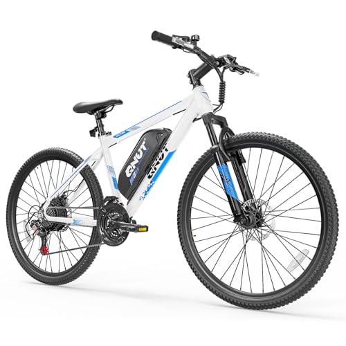 QNUT 350W Electric Bike