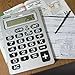 Reizen 12-Digit Jumbo Talking Calculator