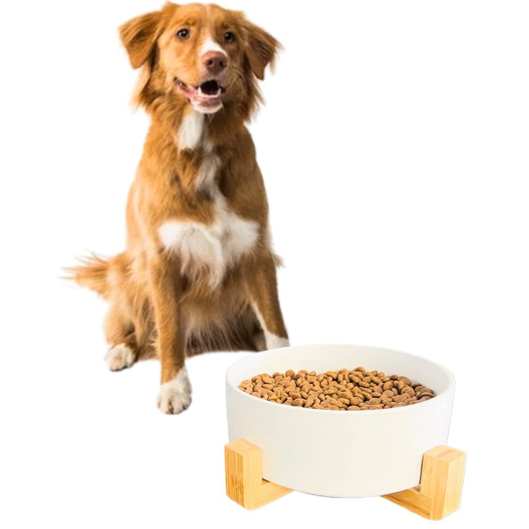 PETSARYXL Classy Ceramic Dog Cat Food Bowl with Bamboo Wood Stand - Modern Round Heavy Duty Food and Water Bowl - Comfort Non-Slip Elevated Bowl - No Spill Anti Tip Over Feeder Bowl Extra Large White