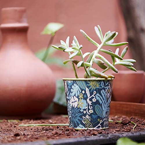 Novelty and Inspire Store's Amazon Page