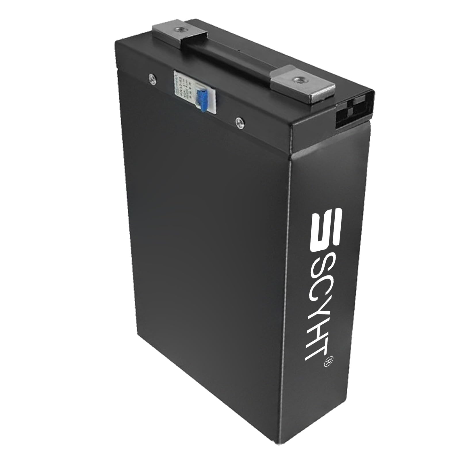 Batteria al litio 24V 20Ah 25Ah Batteria LiFePO4 48V 30Ah 15Ah 10Ah Batterie rimovibili 24V Batterie carrelli elevatori per motori 250W a 1500W sollevatori telescopici,24v20ah