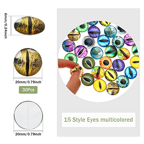 CHGCRAFT 30Pcs Luminous Cat Eyes Glass Cabochons Glow in The Dark Half 15 Style Round Animal Eyes Flatbacks Googly Eyes for DIY Craft Necklace Bracelet Making 20mm - Image 2