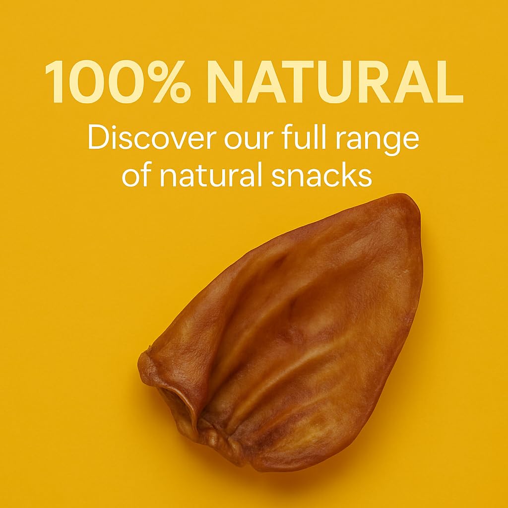 Boomy - Oreilles de porc - Friandises naturelles pour chiens - Friandises à la viande séchée pour chiens - 8 pièces