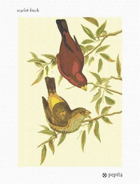 Pepita Needlepoint Canvas: Scarlet Finch, 7