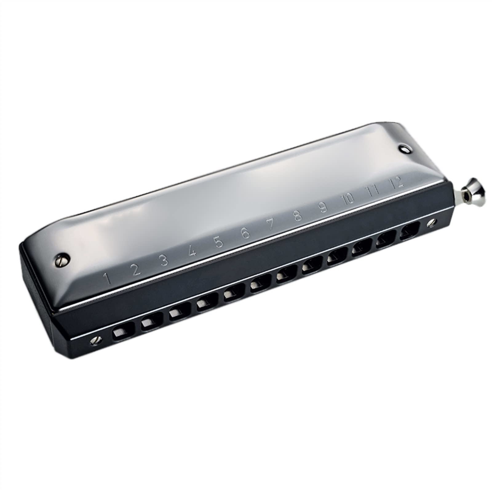 Armonica Cromatica Professionale 12 Fori Chiave di C Bocca Organo ABS Pettine Copertura in Acciaio Inox Armonica per Principianti