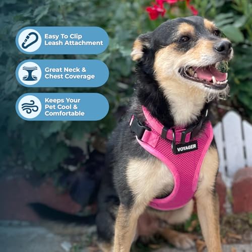 Image of Best Pet Supplies Voyager Step-in Lock Pet Harness w Reflective Pet Leash Combo Set with Neoprene Handle 5ft - Supports Small, Medium and Large Breed Puppies /Cats - Fuchsia Set, L