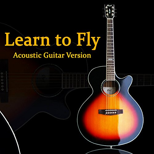 Best Acoustic Guitar To Learn To Play Expert Review The Modern Record