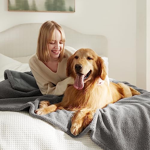 Lesure-Waterproof-Dog-Blanket-for-Large-Dogs-Washable-Pet-Blankets-Reversible-for-Cat-with-Durable-360GSM-Wheat-Sherpa-and-200GSM-Flannel-Fleece-Furniture-Protection-for-Bed-Grey-60x80 - Cucciolini Doodles   Lesure-Waterproof-Dog-Blanket-for-Large-Dogs-Washable-Pet-Blankets-Reversible-for-Cat-with-Durable-360GSM-Wheat-Sherpa-and-200GSM-Flannel-Fleece-Furniture-Protection-for-Bed-Grey-60x80