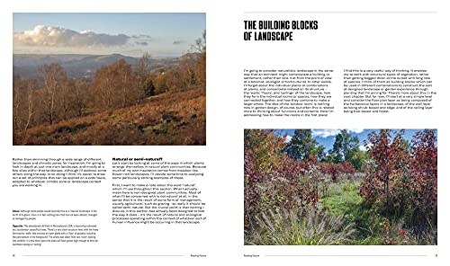 Naturalistic Planting Design - Image 7