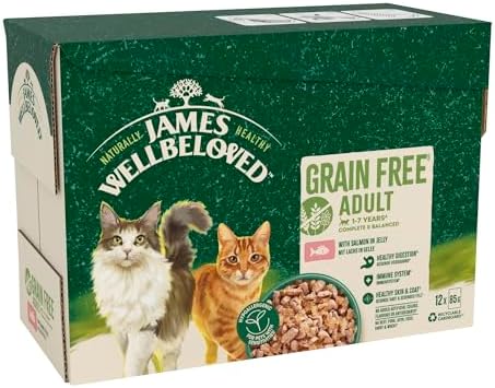 James Wellbeloved Grain Free Adult Cat Food with Salmon in Jelly Pouch 12 x 90 g