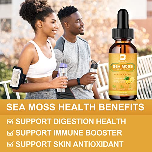 B Beworths Sea Moss Liquid Drops - 92 Vitamins Minerals Organic Irish Sea Moss Gel With Burdock Root Supplement Immune, Joint & Thyroid, Detox Cleanse & Digestive Support - 2 Fl Oz, Vegan #TOP3