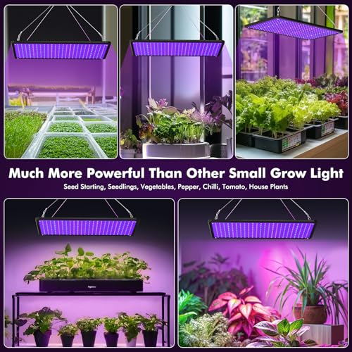 1000W LED Grow Light (100W Actual)