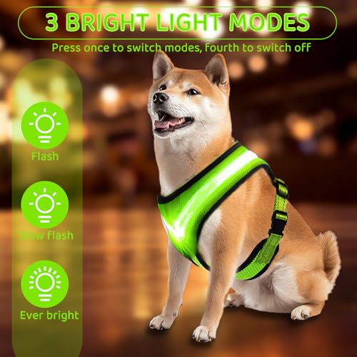 Fancysky Hundegeschirr Leuchtend Aufladbar Wiederaufladbarkeit, LED Leuchtgeschirr für Hunde, Atmungsaktive Hundegeschirre für Kleine und mittlere Hunde (M)