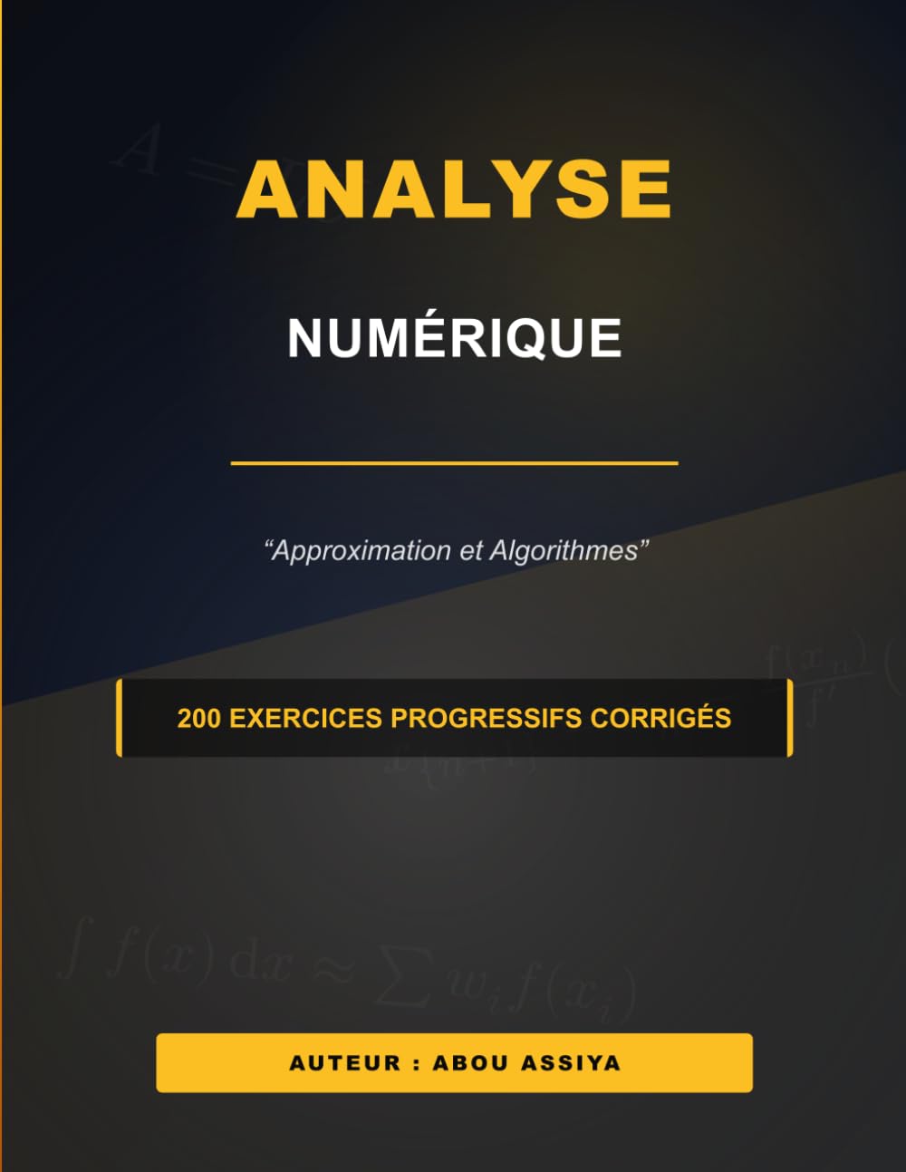 Analyse Numérique: Approximation et Algorithmes - 200 exercices progressifs corrigés