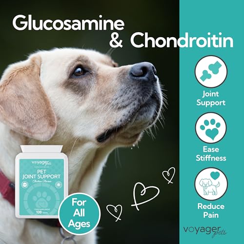 Voyager Pet Joint Support Supplement for Cats & Dogs | Chicken Flavour 120 Tablets| May Helps to Support Joints & Mobility with Glucosamine, Chondroitin, Green Lipped Mussel & MSM - Image 4
