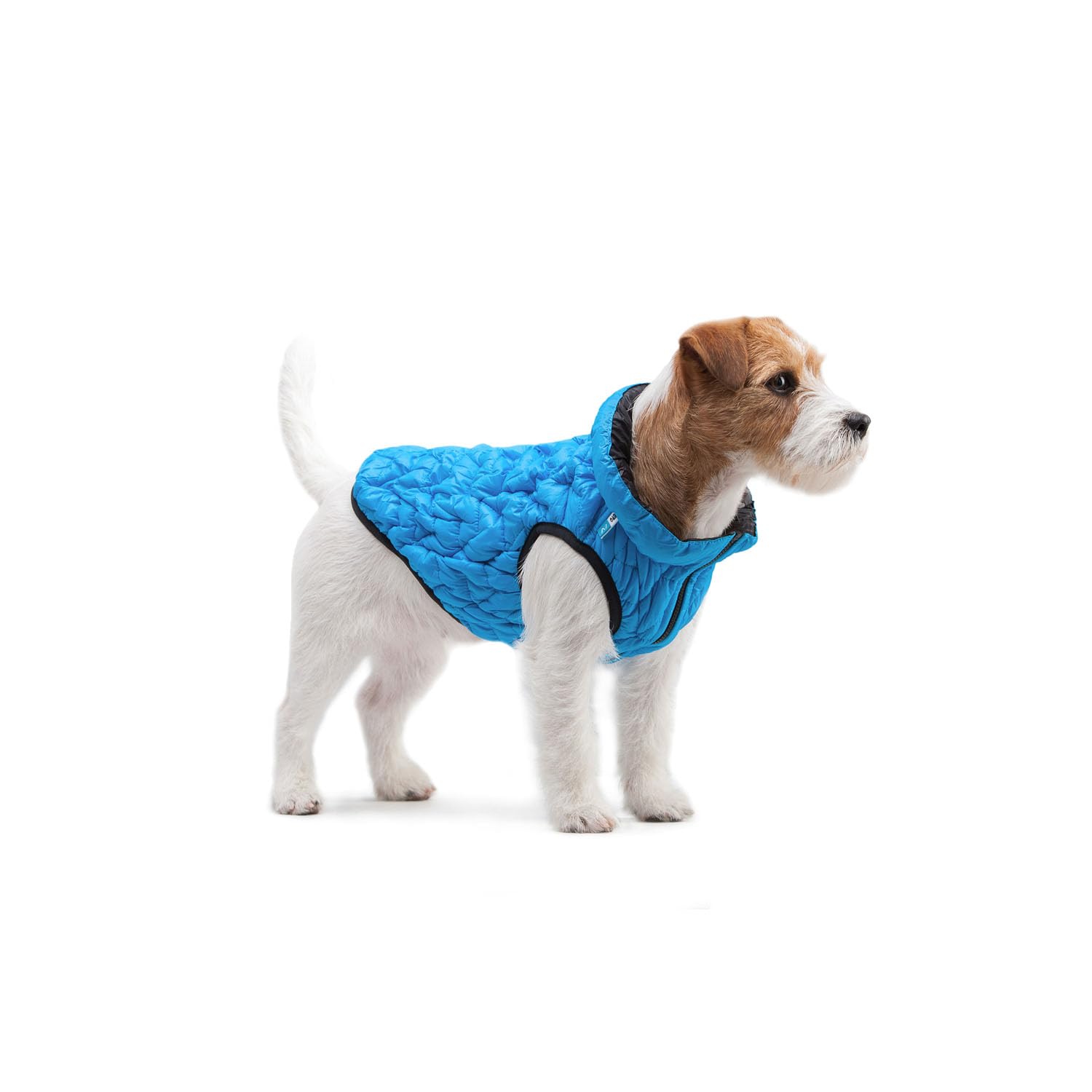 AiryVest, chaqueta flexible para perros con bolsillo, resistente al agua, abrigo para perros, impermeable, azul, XS – 28 x 41 x 27 cm