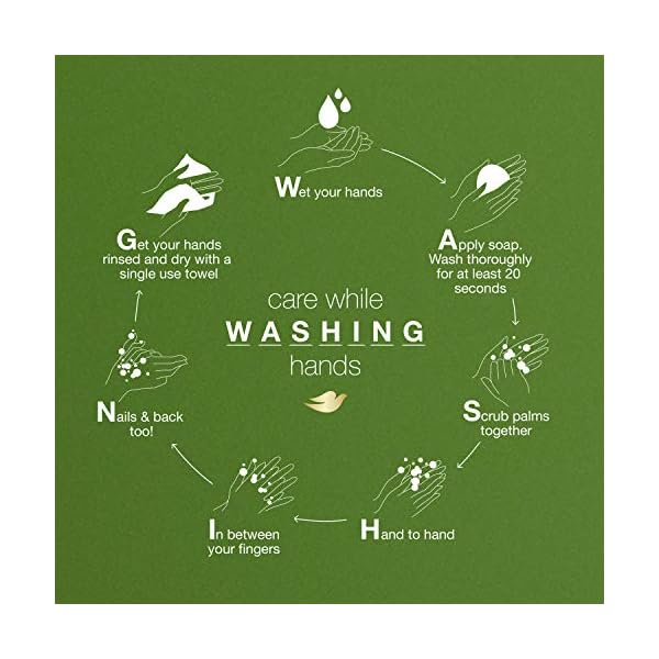 Dove-Refreshing-Body-Wash-with-Pump-Revitalizes-and-Refreshes-Skin-Cucumber-and-Green-Tea-Effectively-Washes-Away-Bacteria-While-Nourishing-Your-Skin-Cool-Moisture-Go-Fresh-Cool-Moisture-34-Fl-Oz Dove Body Wash with Pump Refreshing Cucumber and Green Tea Refreshes Skin Cleanser That Effectively Washes Away Bacteria…