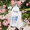 Curel-Itch-Defense-Calming-Body-Lotion-Moisturizer-for-Dry-Body-and-Hand-Lotion-with-Advanced-Ceramide-Complex-20-Ounce-Pro-Vitamin-B5-Shea-Butter-20-FL-OZ-591-mL Curel Itch Defense Calming Body Lotion, Moisturizer for Dry, Itchy Skin, Body and Hand Lotion, with Advanced Ceramide Complex, Pro-Vitamin B5, Shea Butter, 20 Oz