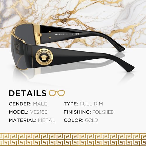 Versace VE2163 Rectangle Sunglasses for Men – Metal Frame with Temples, eShades Eyewear Kit Included2