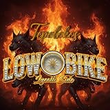 low biker boots  LOW BIKE