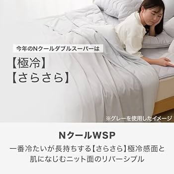 新品　ニトリ　夏布団　Nクール　タオルケット　2枚セット　シングル　ダウンケット 新品 ニトリ 夏布団 Nクール ダウンケット タオルケット 2枚