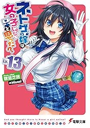 Amazon.co.jp: ネトゲの嫁は女の子じゃないと思った? Lv.14 (電撃文庫