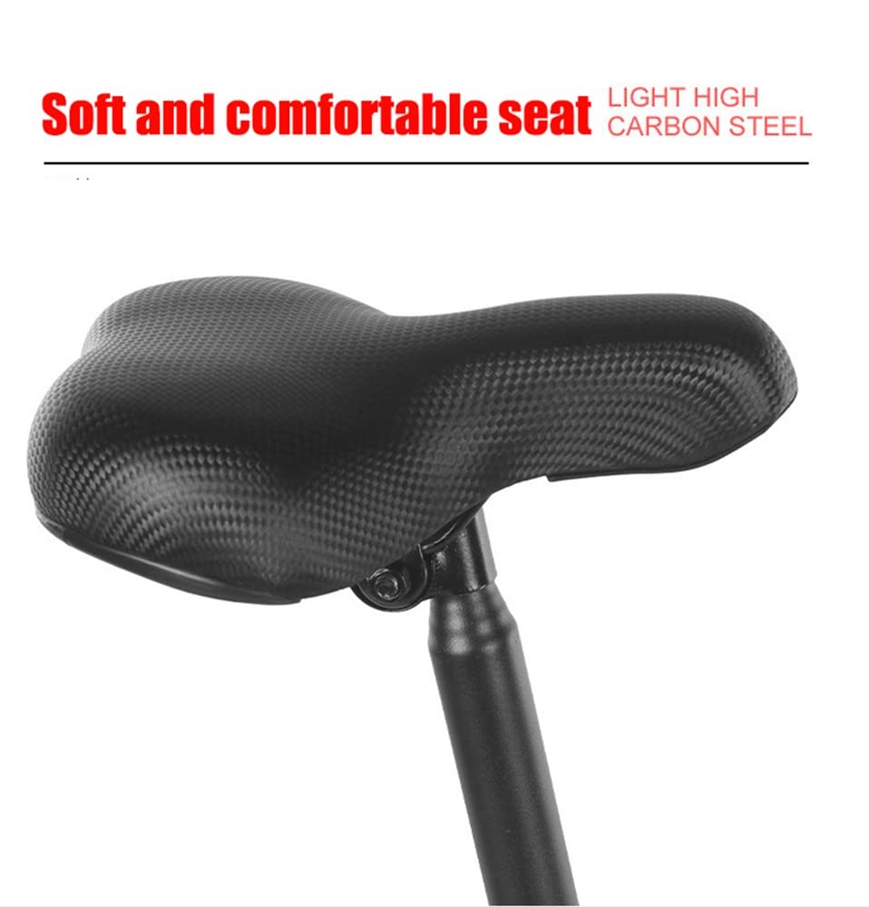 Bicicleta Plegable para Adultos, 14 Pulgadas, Velocidad Variable, Portátil y Ligera para Estudiantes y Viajeros Urbanos