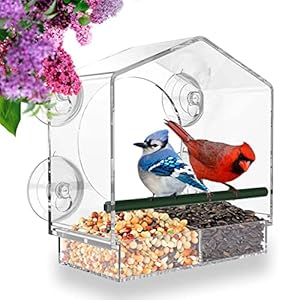 Window Bird Feeder for Outside with Strong Suction Cups, Fits for Cardinals, Finches, Chickadees etc.