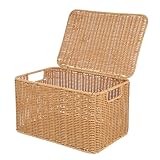 FUNNETOYU Cesta Rectangular de Almacenaje con Tapa Cesta Decorativa de Ratán Sintético para Oficina Cocina y Baño Organizador Multifuncional para Juguetes Maquillaje y Artículos Pequeños