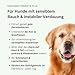 kaer basic Präbiotik Plus Pulver für Hunde, 2X 200g - Probiotika zur Futterergänzung, Darmflora aufbauen, Darmbakterien, Darmsanierung Ergänzungsmittel, Darmkur